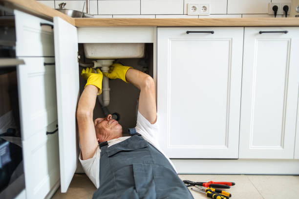 Best Garbage Disposal Repair and Installation  in Ava, MO